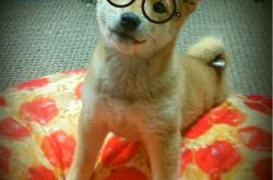 开云体育APP下载-北境之光，当芬兰的钢铁防线遇上久保建英的魔术，一场定格的足球史诗