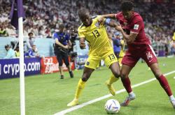 开云体育在线-美洲杯战队状态火热，誓夺总冠军的简单介绍