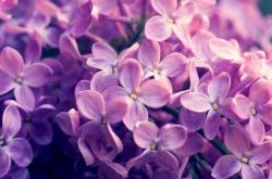 开云体育入口-决胜之夜，隔海双响炮，巴特勒绝杀震辽宁，库里神射定乾坤