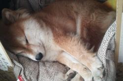 开云体育-雨林风暴席卷北欧，火力全开的哥斯达黎加如何让巴斯托尼成为关键先生