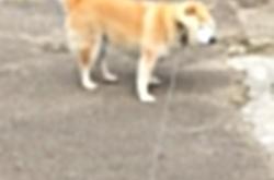 开云sport-死神降临！西亚卡姆全程高能输出化身费城守护神，绝命三分刺穿公牛逆转神话