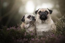 开云体育平台APP-虚拟与现实交织的非洲之矛杯，一场重新定义界限的踏平