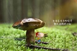 开云体育中国-篮球跨界风云，辽宁血拼篮网，班凯罗西甲德比称王