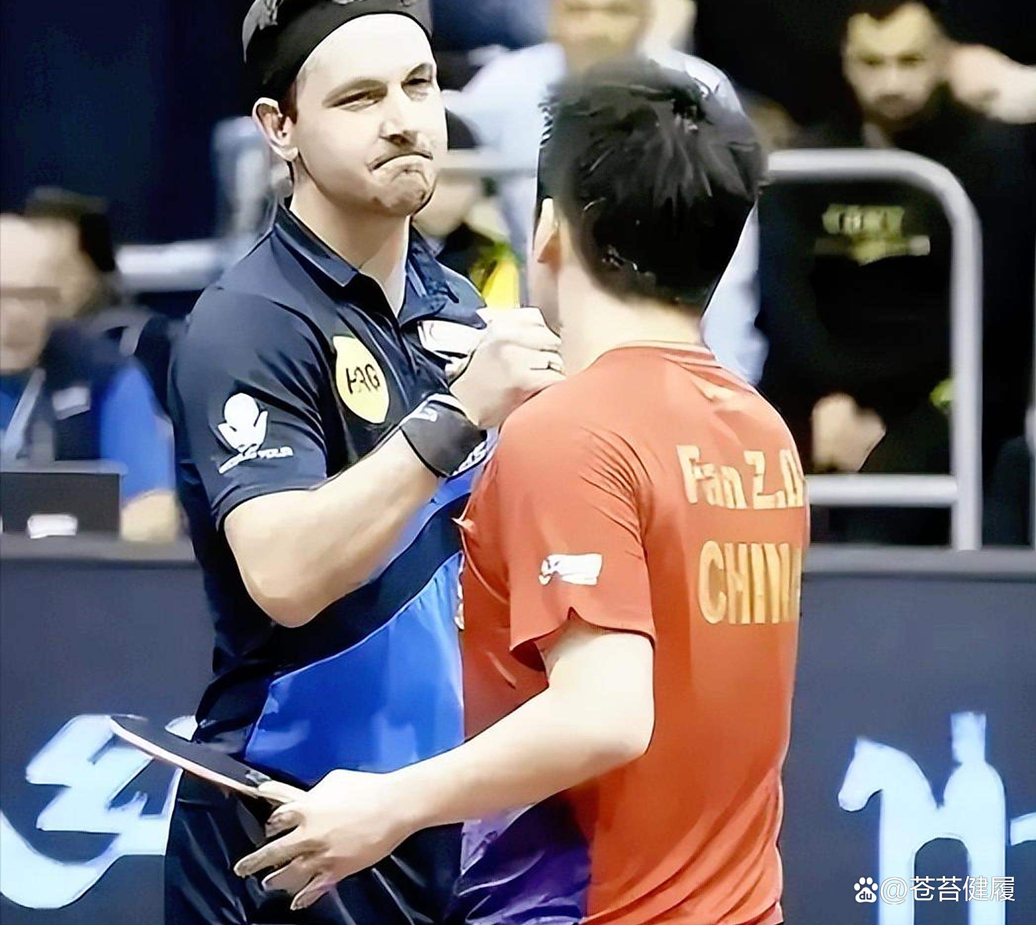 关于中国乒乓球队轻取波兰乒乓球队，波尔一己之力扛起全队的信息