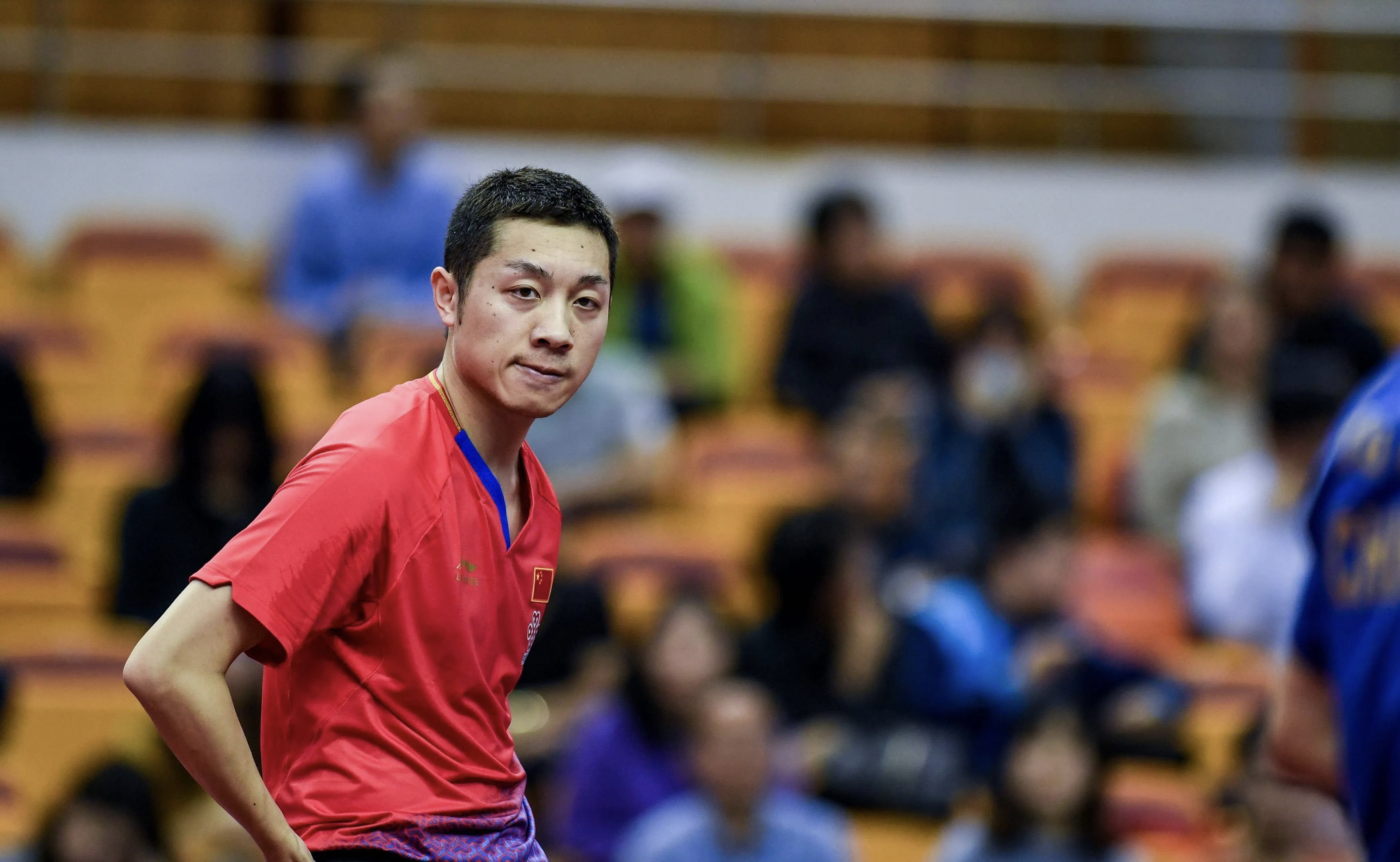 中国乒乓球队血洗瑞典乒乓球队，许昕统治全场