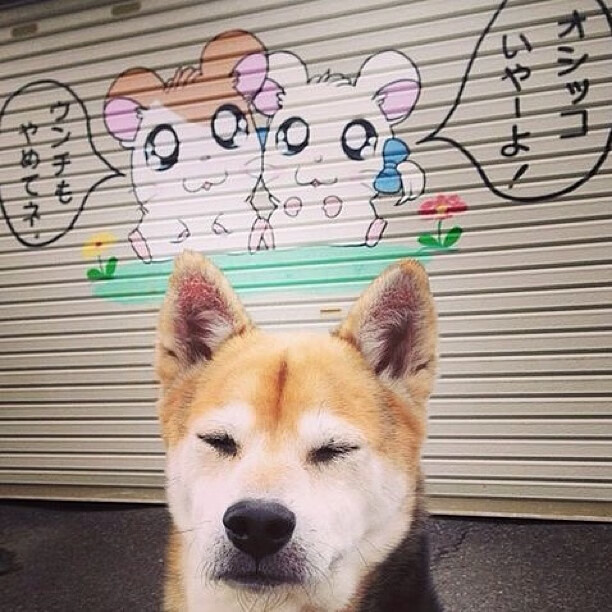 勒克莱尔关键制胜,威廉姆斯力克索伯车队,一场战术的胜利