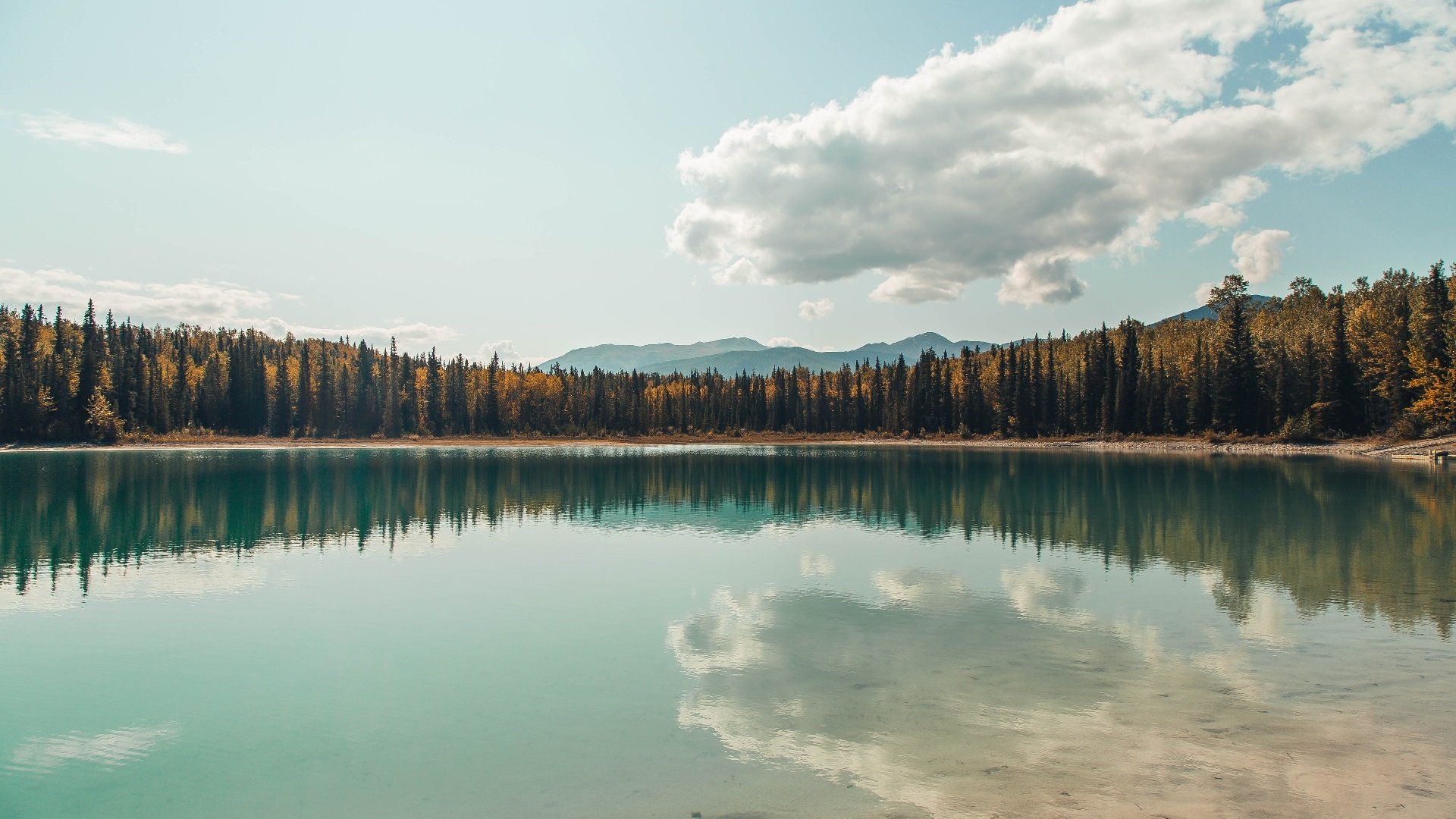 羽球名将跨界定乾坤,辛杜关键制胜,助德国队碾压日本队