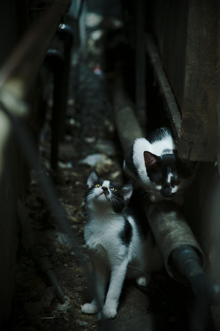 天平两端，格纳布里的永恒刻度与克罗地亚的制胜砝码