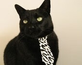 非洲新星掀翻日耳曼战车,托马斯·穆勒的跨界转折点