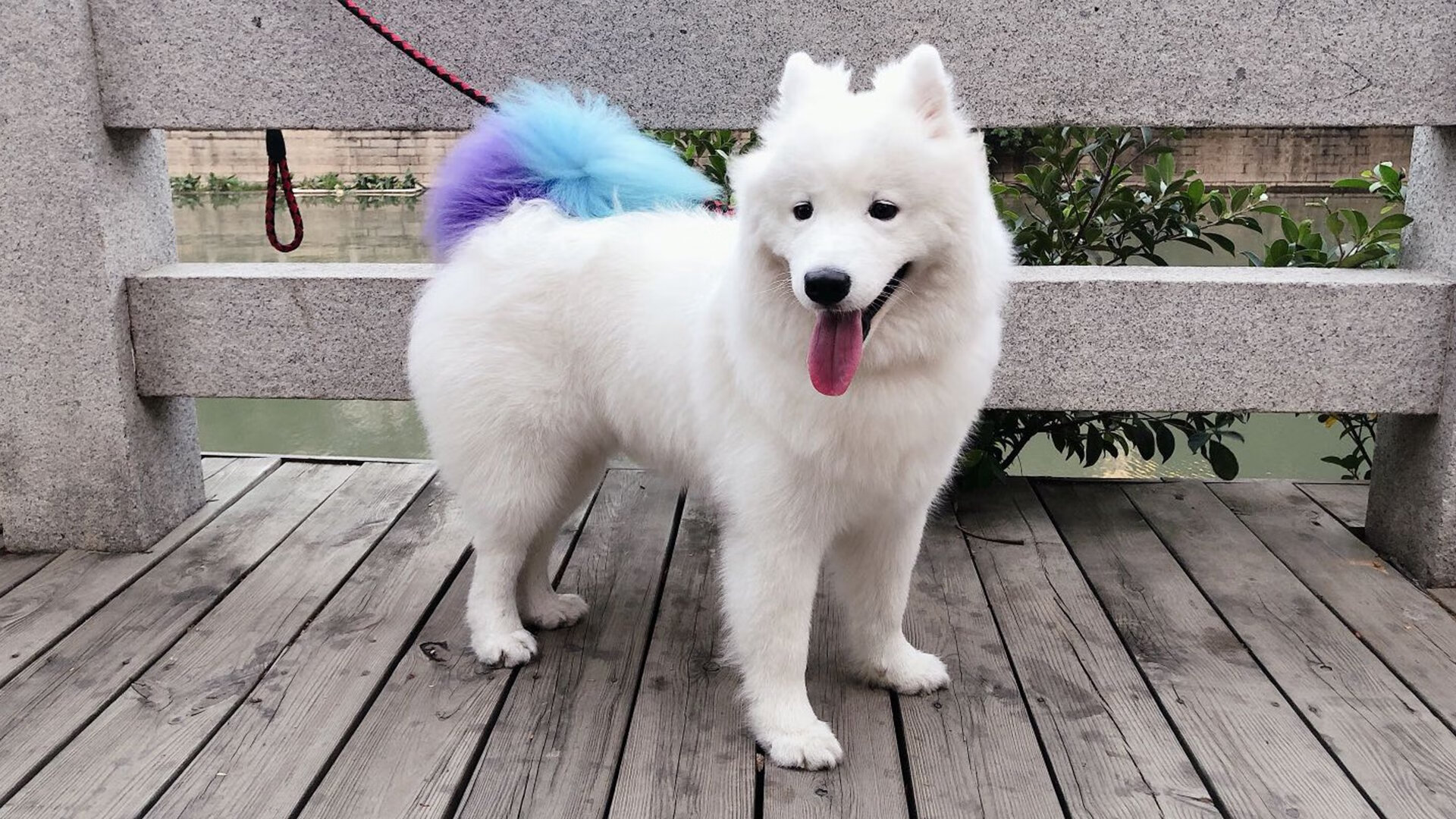 王者时间，从吉林到世界，那些提前终结悬念的接管者