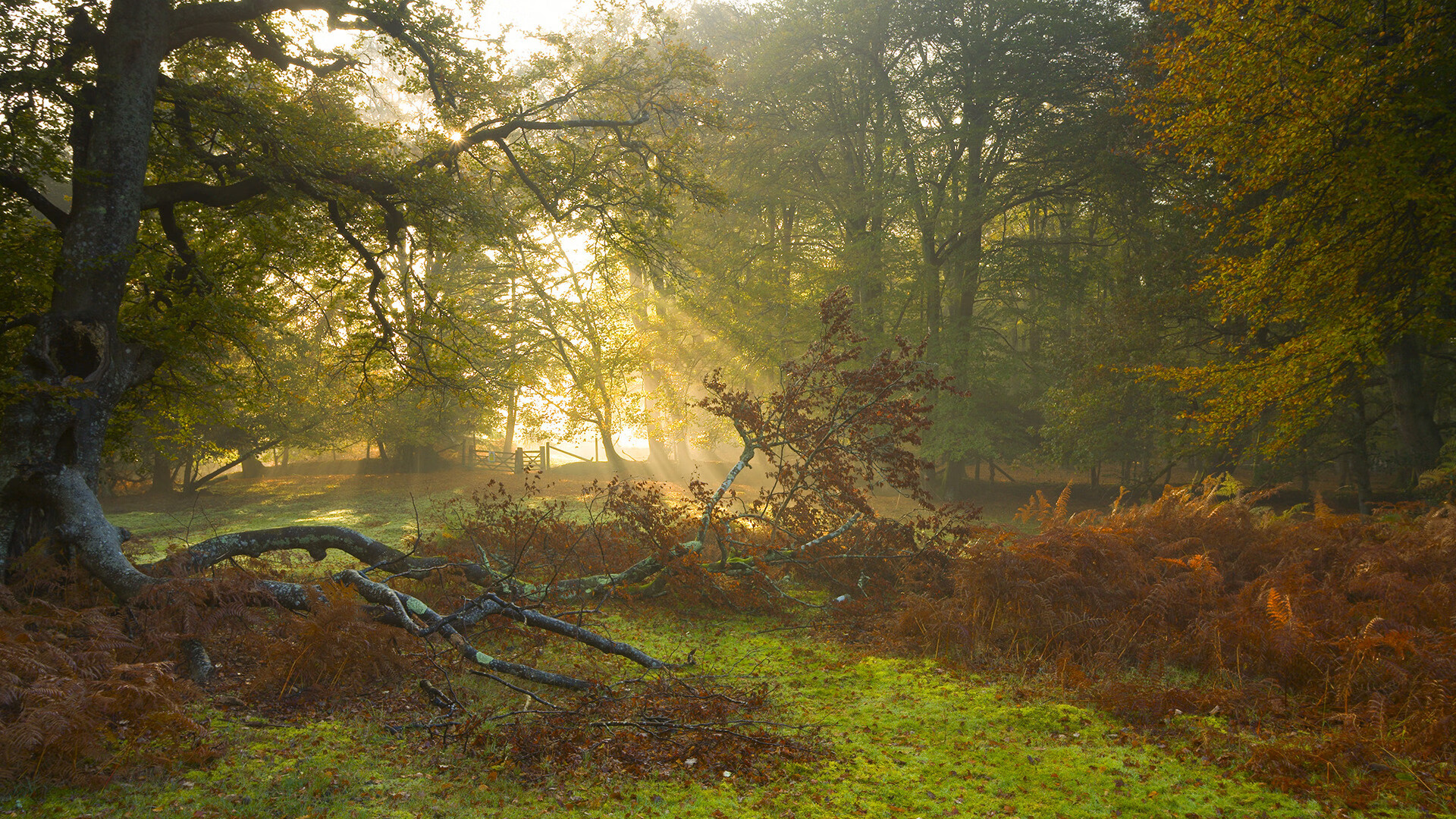亚洲之光撞碎北欧童话，绿衣军团奏响足球狂想