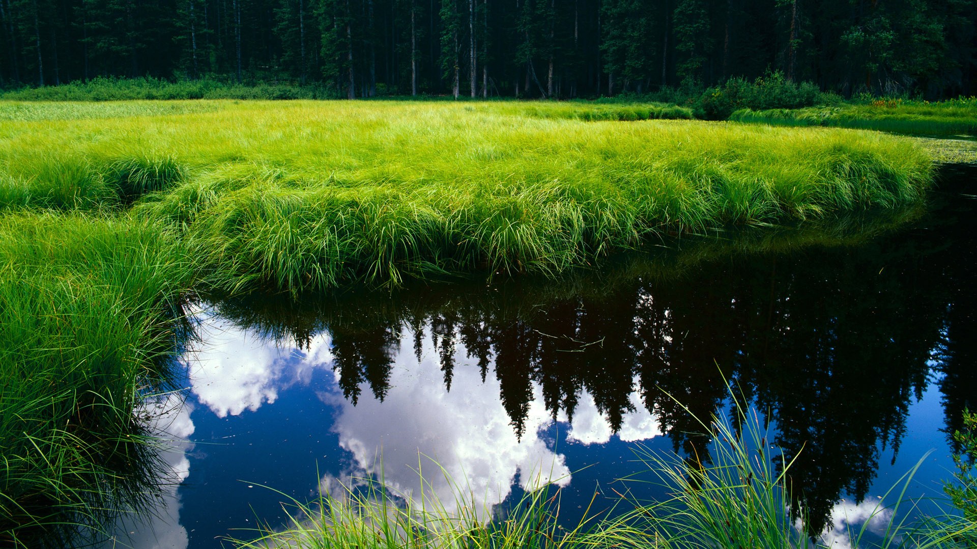 逆风起翼，当东方巨龙掀翻星月骑士，姆巴佩在巴黎夜雨中完成自我救赎