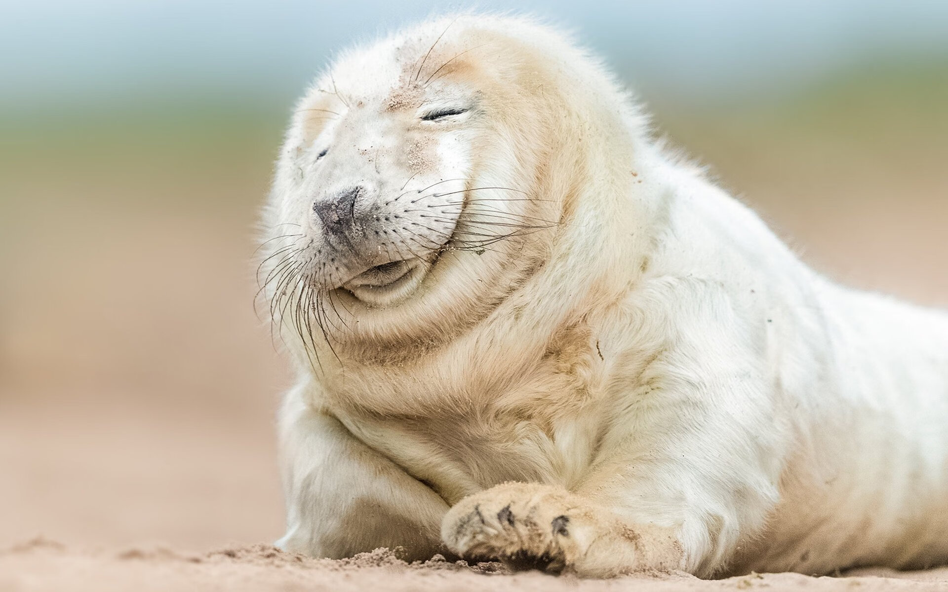 当足球场变成季后赛战场,苏格兰用篮球战术强势击溃加纳