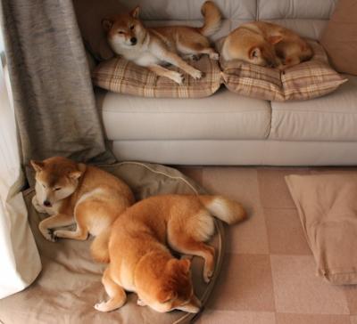 篮球新纪元，辽宁队跨联盟击溃热火，文班亚马2026世界杯接管比赛