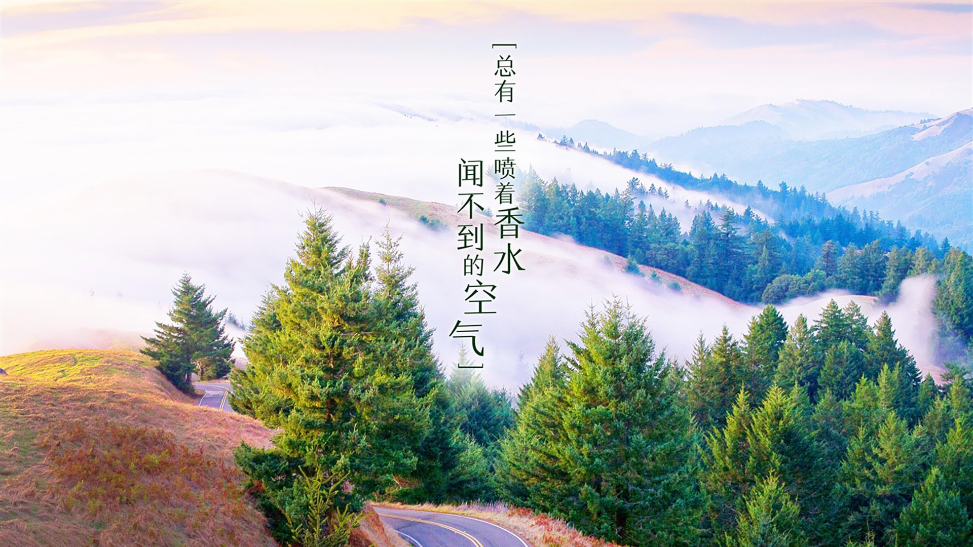 里斯本之夜，当罗德里戈用左脚改写2026世界杯E组的唯一剧本