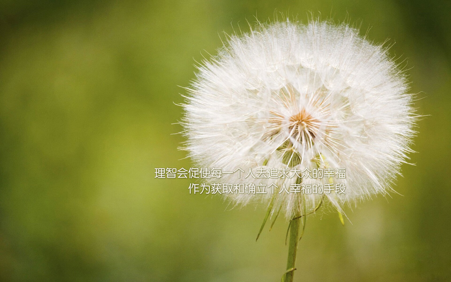 惊魂拉各斯之夜,佩德里导演绝杀,挪威2,1险胜尼日利亚,世界杯晋级之路亮起曙光